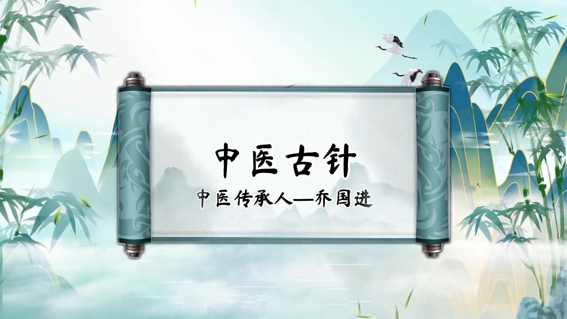 中医古针  乔国进